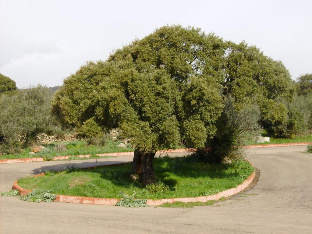 Casa di campagna Castellinaria Orroli